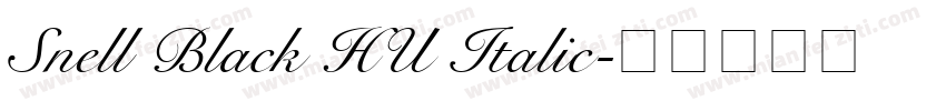 Snell Black HU Italic字体转换